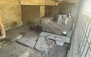 Konec Bouchalky a nový začátek: stavíme útulek!