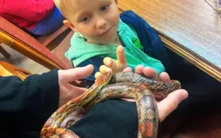 Společně ❤️ pro zvířata i v roce 2026