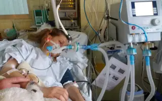 Rehabilitace pro Míšu