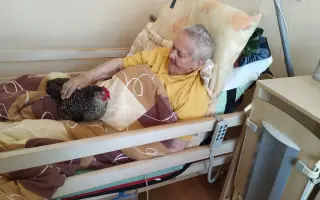 Když tlapky a kopýtka léčí