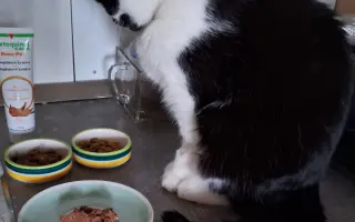 9 nalezených Lásek