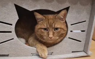 9 nalezených Lásek