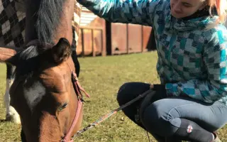 Důstojný život pro naše koňské kamarády