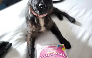 Ari přežila poušť. Teď ji ničí bolest...