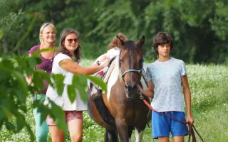 Nový kůň do hiporehabilitačního týmu