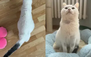 Pomozte Rufíkovi porazit FIP