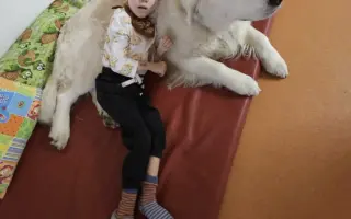 Ivánek se pere s těžkým osudem – pomozme mu společně