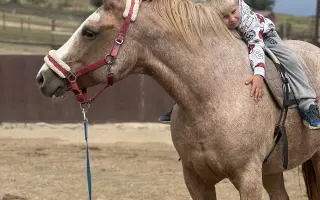 Pomozme Kess po těžké akutní operaci