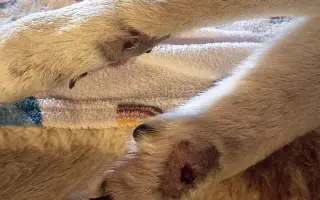 Pro Eli 🩷 Prosím, pomozte nám ji znova rozběhat.