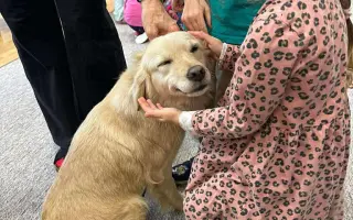 Pomoc pro spolek Kapka pro tlapky