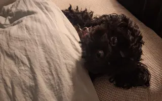 Pomohli jste Medvídkovi Pú k lepšímu zraku