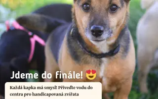 Každá kapka má smysl! Přiveďte vodu do centra pro handicapovaná zvířata