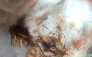 Společně ❤️ pro zvířata i v roce 2026