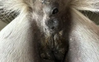 Pomoc pro Sanyho s rakovinou