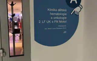 Pomoc pro Rozinku
