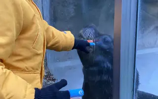 Bezpečné cestování pro našeho Matiaska