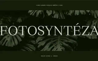 🪴FOTOSYNTÉZA - studentský film