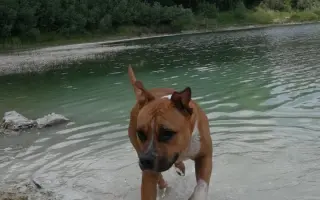 ...aby se Roxy mohla postavit bezbolestně na nohy