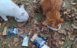 8 nalezených Lásek