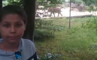 Pomoc pro 3 děti a jejich matku po tragické smrti otce.