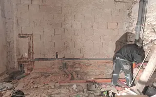 Postavme společně útulek pro kočky a psy