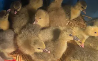 Pomozme společně obnovit zničenou farmu a živobytí farmáře Vládi!