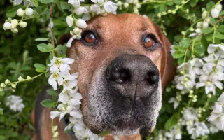 🥾 154 KM ZA TY, KTEŘÍ UŽ NEMŮŽOU 🐾