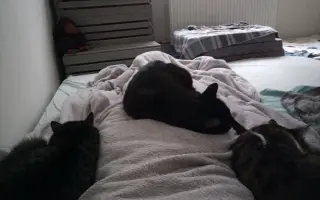 Zvládla jsem rakovinu. Teď hledám cestu zpět k životu.