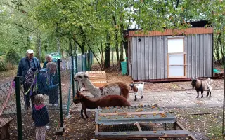 Farmingterapie aneb Společně v těžkých chvílích: Zvířecí přátelé pro pacienty v hospicové péči