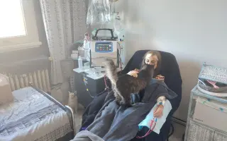 Míša s Honzou prosí za Ignáce, kocourka bojujícího s nepřízní osudu