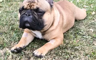 Pomozme Adonisovi znovu dýchat