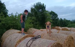 Darujte prosím Roxy život – šance na operaci a další roky plné radosti