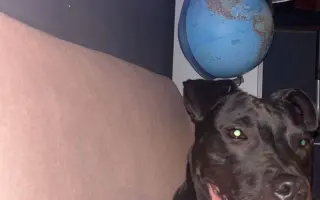 (⁠✿⁠ ⁠♡⁠‿⁠♡⁠)  Pro Koru, aby mohla opět běhat
