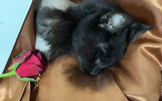 Úžasná Rozinka, která celý život pomáhala, nyní sama potřebuje pomoc