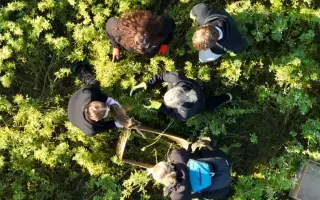 Zachraňme kokořínská srnčata