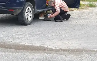 Pomoc pro toulavé kočičky – společně jim dáme najíst i domov