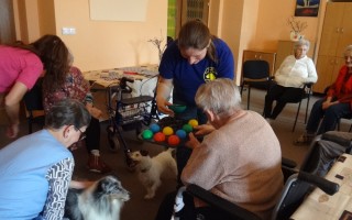Canisterapie CANTES v krajích ČR jako sociální rehabilitace
