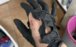 Novoroční sbírka pro opuštěná a týraná zvířata