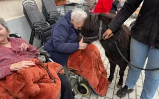 Pomozme třem statečným poníkům ke zdraví, které si sami vyběhat nemohou