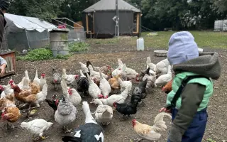 Krmení a seno pro zachráněná zvířata