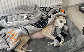 Pomoc pro Martinu a Draca po požáru domova