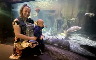 Cesta k bezpečí a klidu pro moje děti: pomozte nám začít znovu