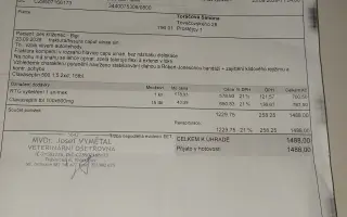 Bigiho srazilo auto