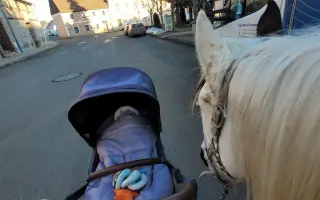 Funny, kráska s frakturou lebky
