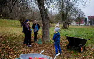 Pomozte nám postavit trojbox pro ustájení hiporehabilitačních koní DORADO z. s.