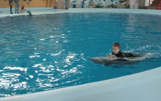 Delfinoterapie pro Ríšu