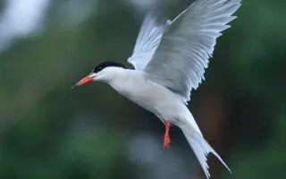 Pomozte mi zachytit svět, který jsme se odnaučili vnímat