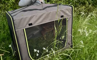 Dron pro život mláďat II