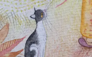 Pomozte vydat knihu Dům u kokosového stromu a dát psům na Bali šanci