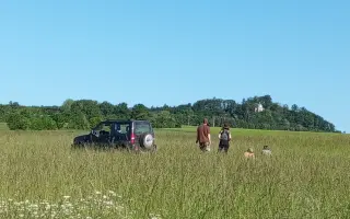 ZACHRAŇ SRNČATA PŘED BŘITY ŽACÍHO STROJE